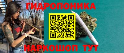 шишки Можайск