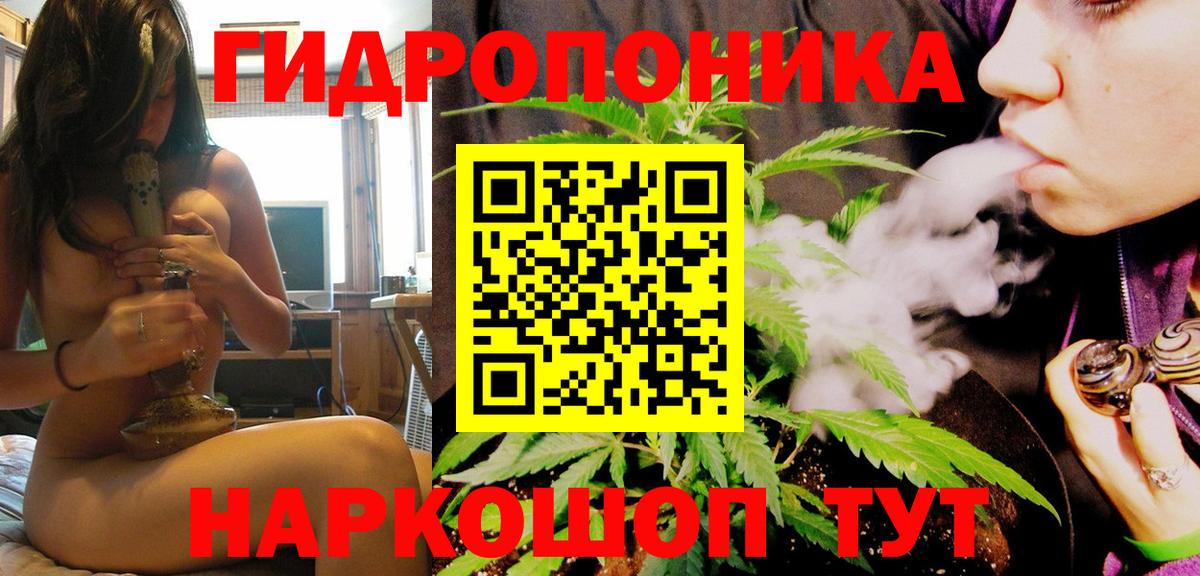 Бошки марихуана сатива  Канабис Bruce Banner  Конопля индика  Дербент  Шишки марихуана OG Kush  Вход с VPN 